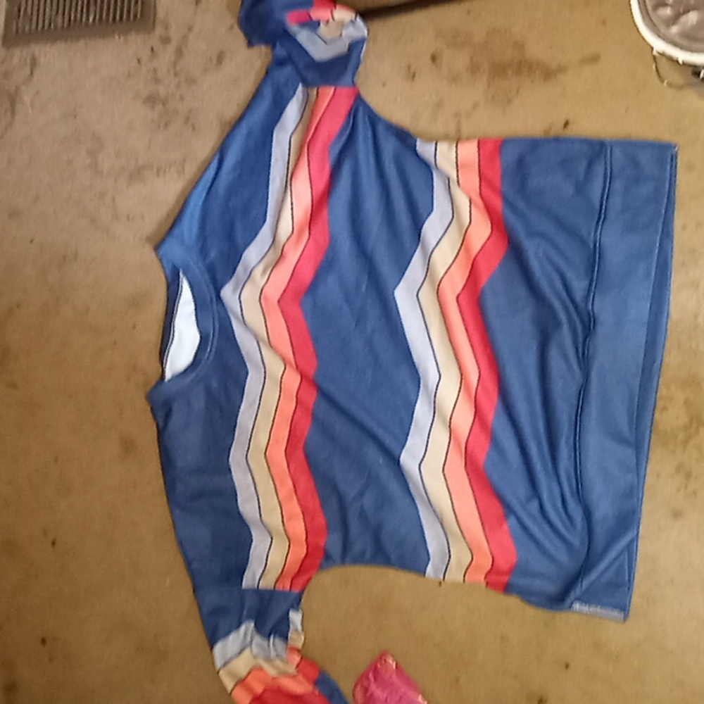 Destiny color block sweat shirt